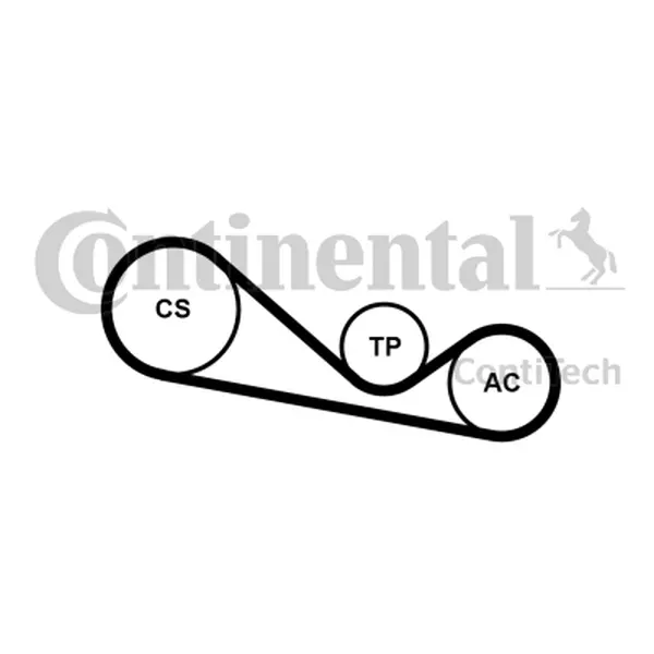 CONTINENTAL CTAM ZESTAW PASKA KLINOWEGO 4PK1237K1