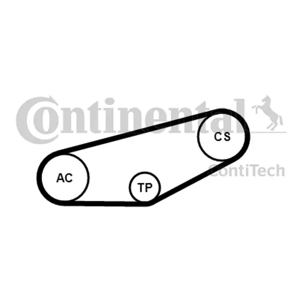 CONTINENTAL CTAM ZESTAW ROZRZĄDU 4PK855K1