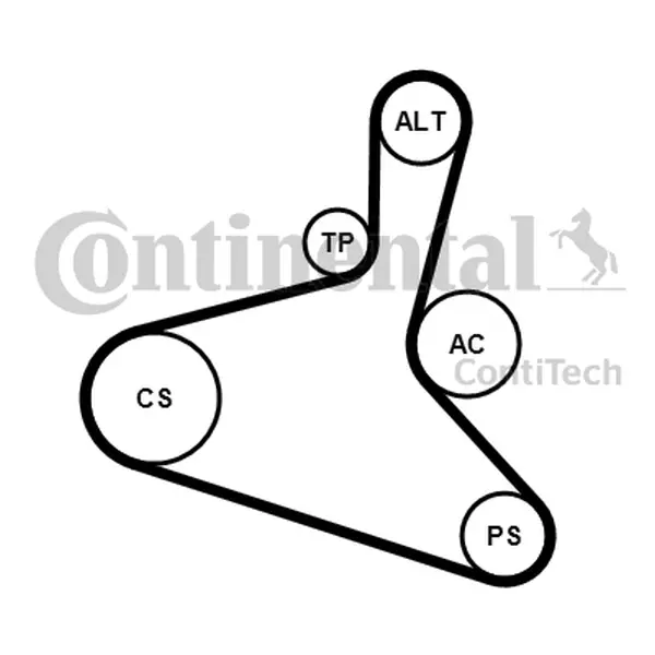 CONTINENTAL CTAM ZESTAW PASKA KLINOWEGO 6DPK1195K1