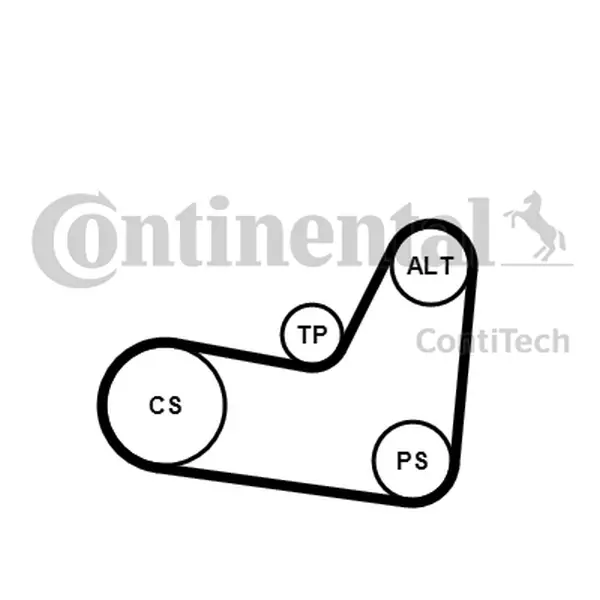 CONTINENTAL CTAM ZESTAW PASKA KLINOWEGO 6PK1070K2