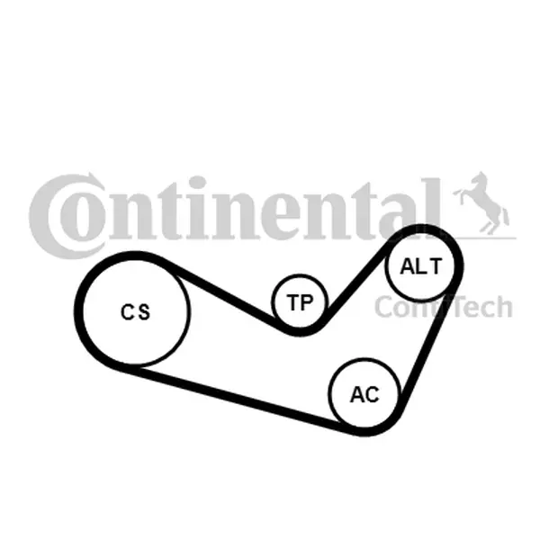 CONTINENTAL CTAM ZESTAW PASKA KLINOWEGO 6PK1080K1