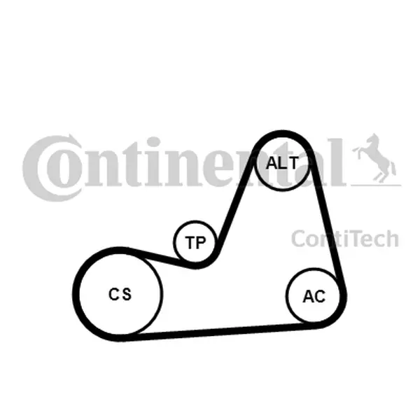 CONTINENTAL CTAM ZESTAW PASKA KLINOWEGO 6PK1100K1