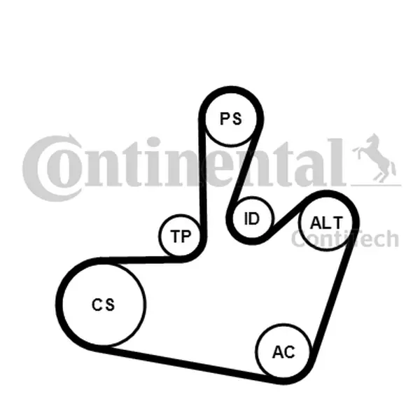 CONTINENTAL CTAM ZESTAW PASKA KLINOWEGO 6PK1548K1