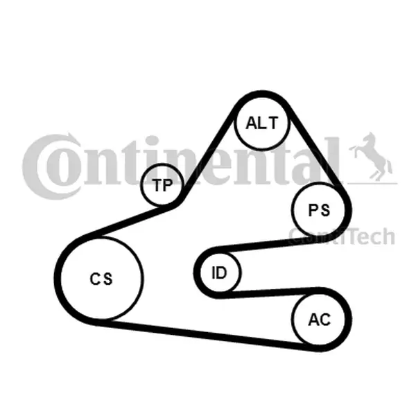 CONTINENTAL CTAM ZESTAW PASKA KLINOWEGO 6PK1613K1