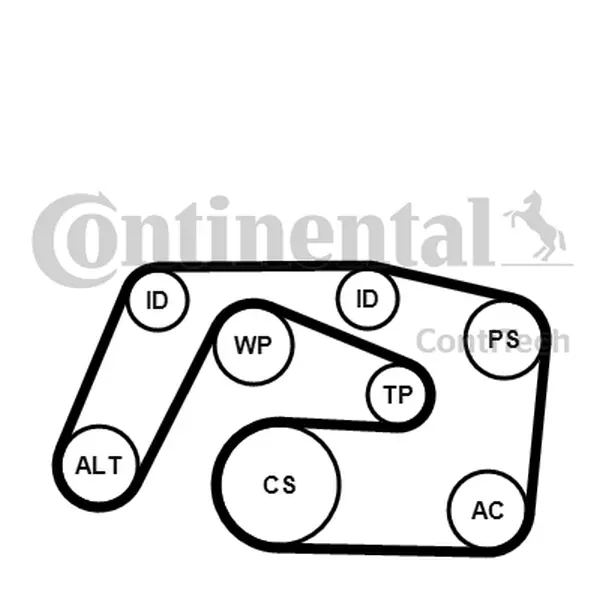 CONTINENTAL CTAM ZESTAW PASKA KLINOWEGO 6PK2271K1