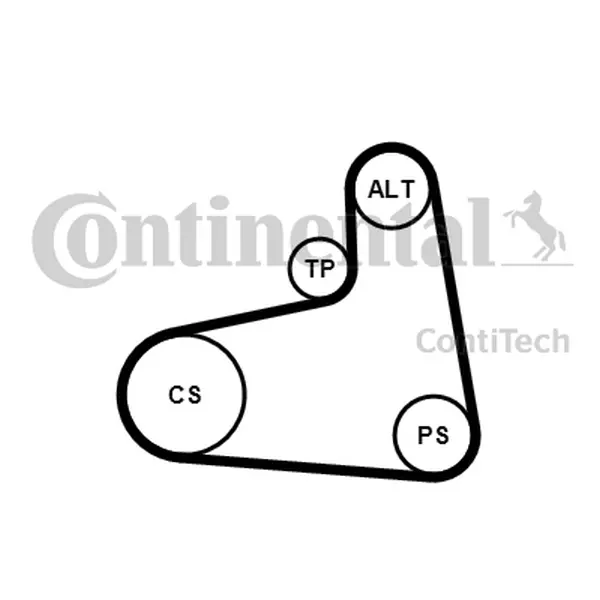 CONTINENTAL ZESTAW PASKA WIELOROWKOWEGO 6PK906K1