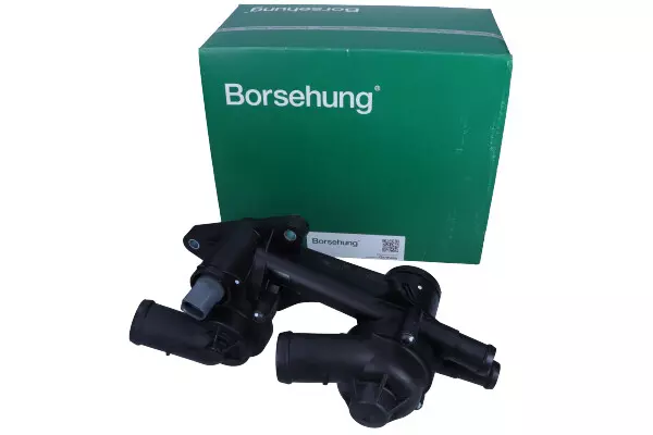 BORSEHUNG TERMOSTAT B18249 