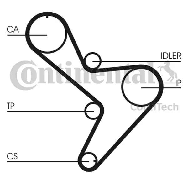 CONTINENTAL CTAM PASEK WIELOROWKOWY CT1034 