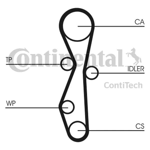 CONTI ROZRZĄD+POMPA CITROEN C5 II III 2.0 HDI 