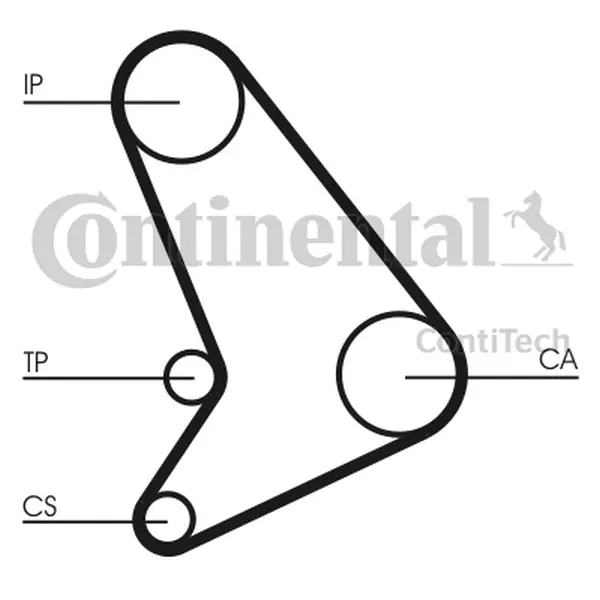 CONTINENTAL CTAM PASEK WIELOROWKOWY CT1054 