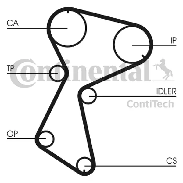 CONTINENTAL CTAM PASEK ROZRZĄDU CT935 