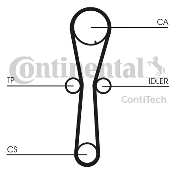 CONTI ZESTAW PASKA ROZRZĄDU  CT954K1