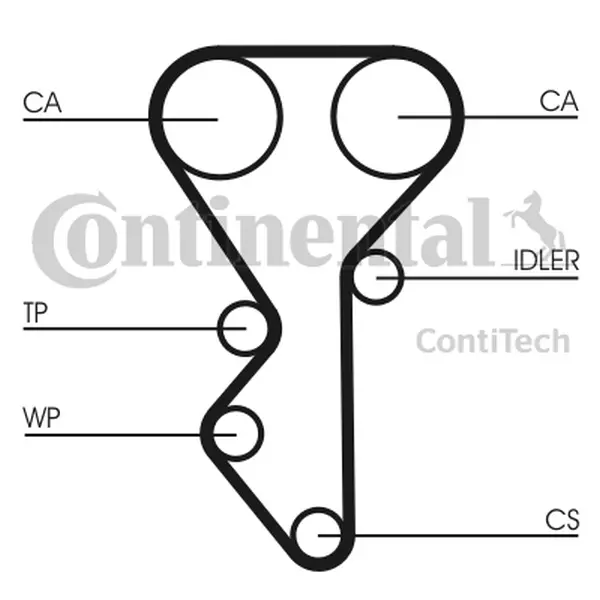 CONTINENTAL CTAM PASEK ROZRZĄDU CT955 