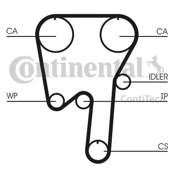 CONTI PASEK ROZRZĄDU CT979 