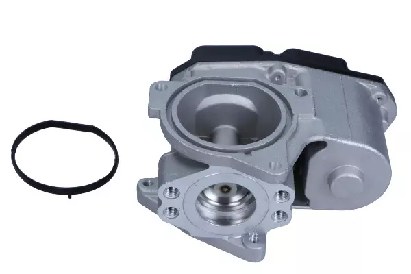 MAGNETI MARELLI ZAWÓR EGR 571822112042 