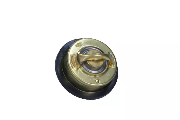 MAGNETI MARELLI TERMOSTAT 352317101360