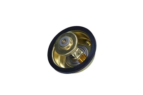 MAGNETI MARELLI TERMOSTAT 352317101360 