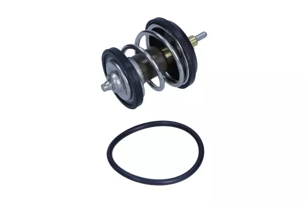 MAGNETI MARELLI TERMOSTAT 352317102160