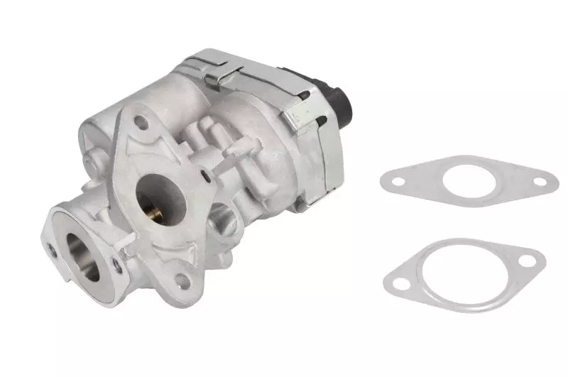 MAGNETI MARELLI ZAWÓR EGR 571822112038