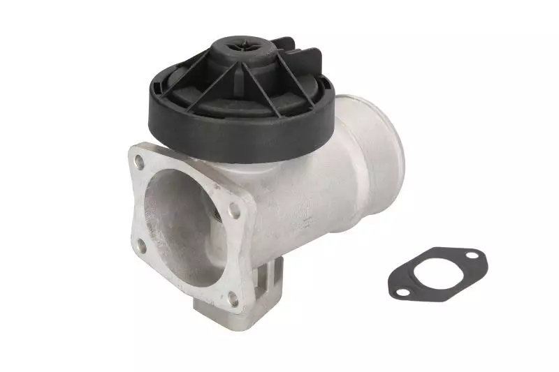 MAGNETI MARELLI ZAWÓR EGR 571822112121