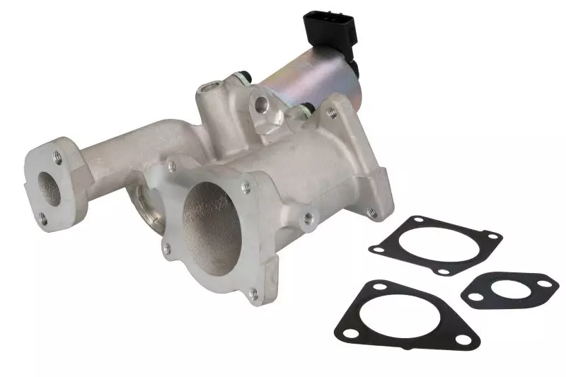 MAGNETI MARELLI ZAWÓR EGR 571822112132