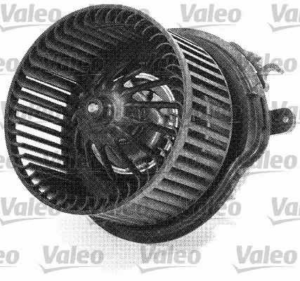 VALEO DMUCHAWA 698676 