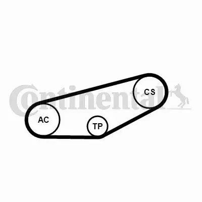 CONTINENTAL CTAM ZESTAW ROZRZĄDU 4PK855K1 