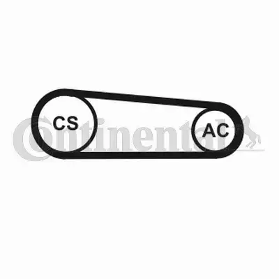 CONTINENTAL CTAM PASEK KLINOWY 4PK917 ELAST T1 