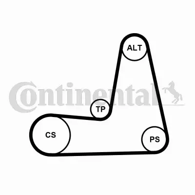 CONTINENTAL CTAM PASEK WIELOROWKOWY 5PK1110K1 