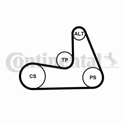 CONTINENTAL CTAM ZESTAW PASKA KLINOWEGO 5PK1121 EXTRA K1 