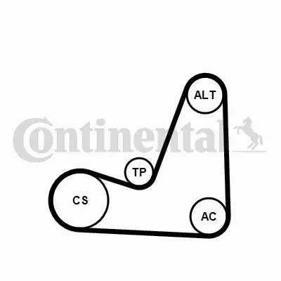 CONTINENTAL CTAM PASEK WIELOROWKOWY 5PK1200K1 