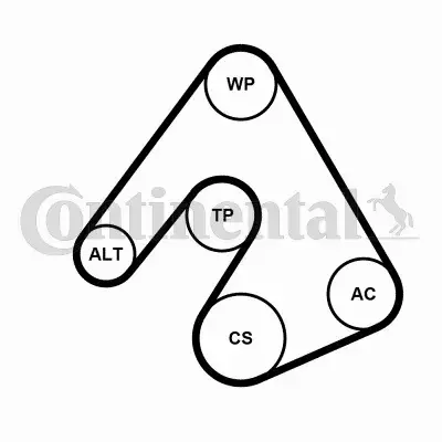 CONTINENTAL ZESTAW PASKA OSPRZĘTU 6PK2490WP1 