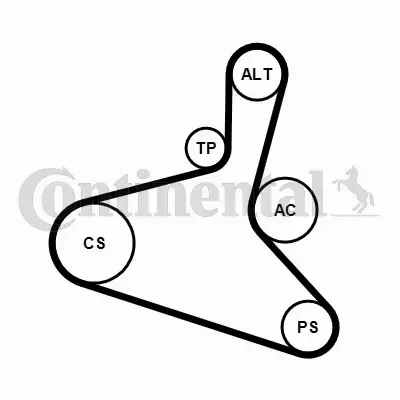 CONTINENTAL CTAM ZESTAW PASKA KLINOWEGO 6DPK1195K1 