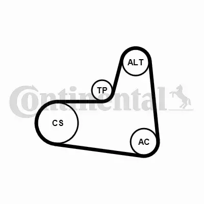 CONTINENTAL CTAM ZESTAW PASKA KLINOWEGO 6PK1005K1 