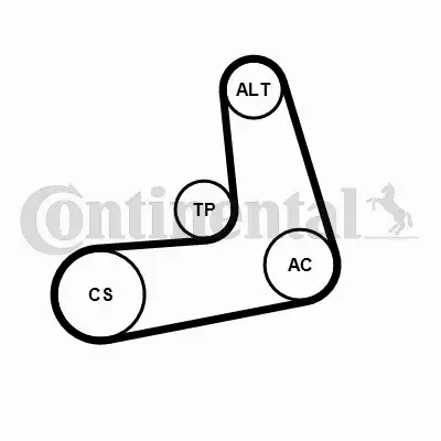 CONTINENTAL CTAM ZESTAW PASEK+NAPINACZ 6PK986K1 