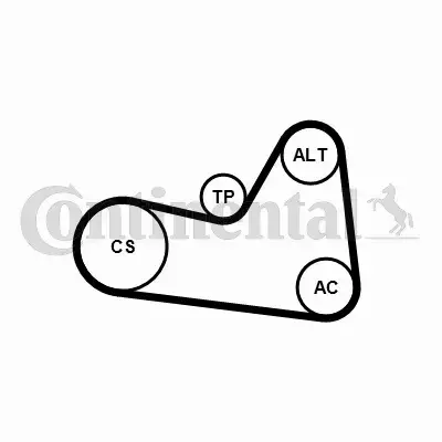 CONTINENTAL CTAM ZESTAW PASEK+NAPINACZ 6PK1026K1 