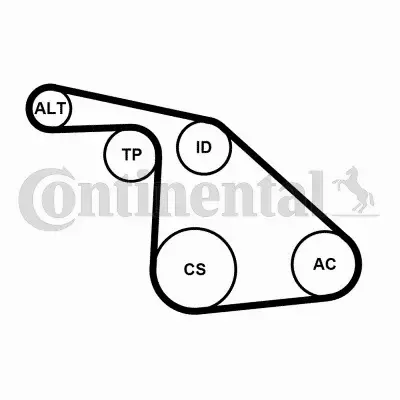 CONTINENTAL CTAM ZESTAW PASEK+NAPINACZ 6PK1038K1 