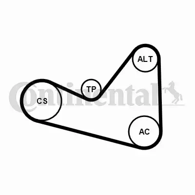 CONTINENTAL CTAM ZESTAW PASKA KLINOWEGO 6PK1050K3 