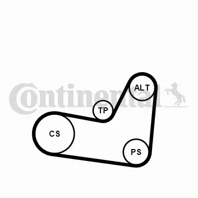 CONTINENTAL CTAM ZESTAW PASKA KLINOWEGO 6PK1070K2 