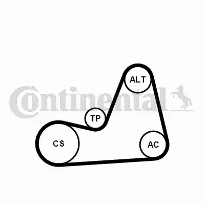CONTINENTAL CTAM ZESTAW PASKA KLINOWEGO 6PK1100K1 