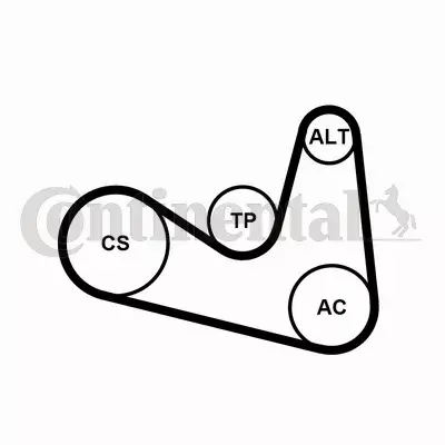 CONTINENTAL CTAM ZESTAW PASEK+NAPINACZ 6PK1180K2 