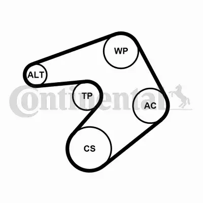 CONTINENTAL CTAM ZESTAW PASEK+NAPINACZ 6PK1244K1 