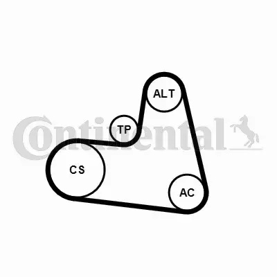 CONTINENTAL CTAM ZESTAW PASKA KLINOWEGO 6PK1217K1 