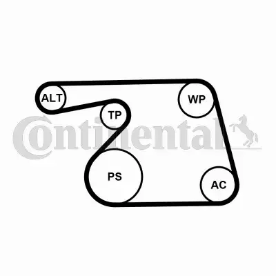 CONTINENTAL ZESTAW PASKA OSPRZĘTU 6PK1318WP1 