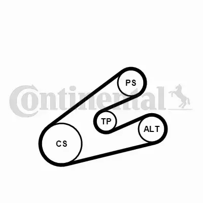 CONTINENTAL CTAM ZESTAW PASKA KLINOWEGO 6PK1453K1 