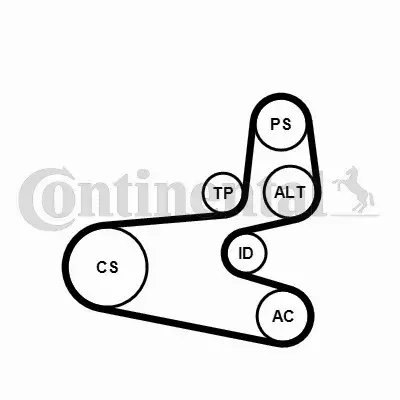 CONTINENTAL CTAM ZESTAW PASKA KLINOWEGO 6PK1560K1 