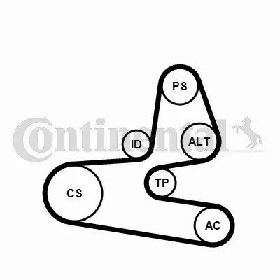 CONTINENTAL CTAM ZESTAW PASKA KLINOWEGO 6PK1564K1 