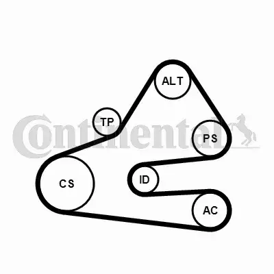 CONTINENTAL CTAM ZESTAW PASKA KLINOWEGO 6PK1613K1 