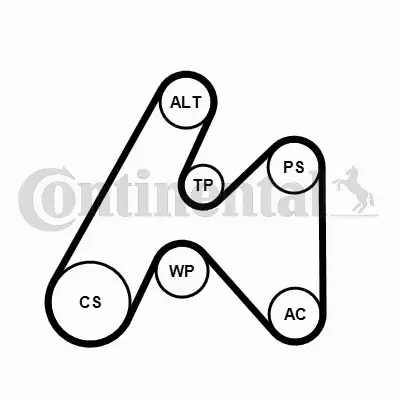 CONTINENTAL ZESTAW PASKA OSPRZĘTU 6PK1660K3 