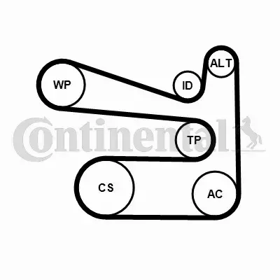 CONTINENTAL CTAM ZESTAW PASEK+NAPINACZ 6PK1693K1 